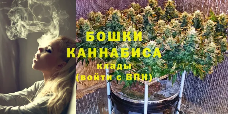 Бошки марихуана сатива  OMG вход  Кирово-Чепецк  где можно купить наркотик 